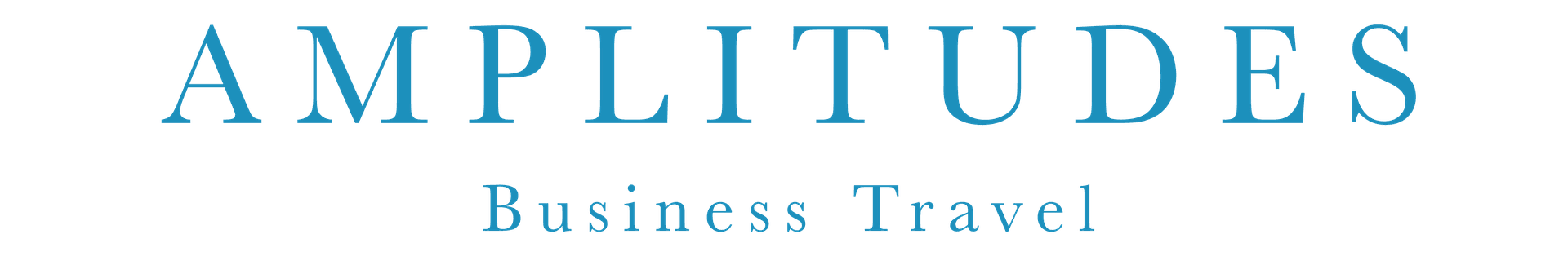 Support Amplitudes Business Travel